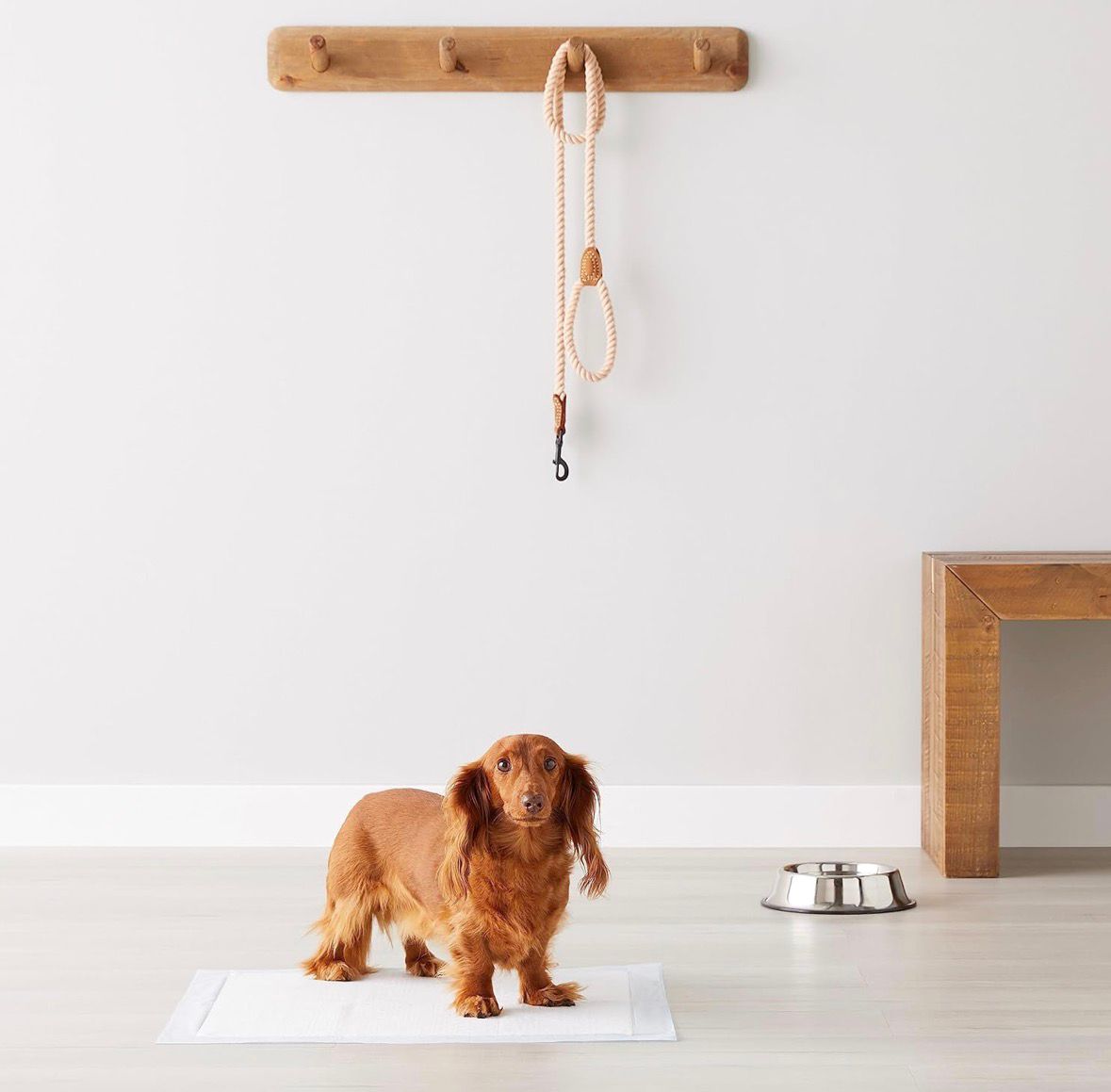 50 Traversine 60x90 bianca con adesivo super assorbente